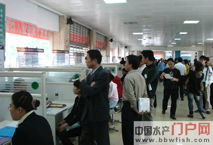 �F����Ƹ���