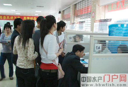 �F����Ƹ���