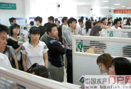 �F����Ƹ���