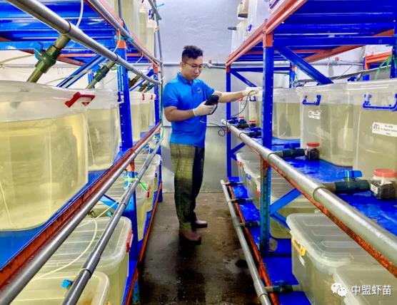 �r�r(ji��)���ԣ��B(y��ng)ֳ��(h��)���܂���10���Y����ʿ��Մͻ��֮·��