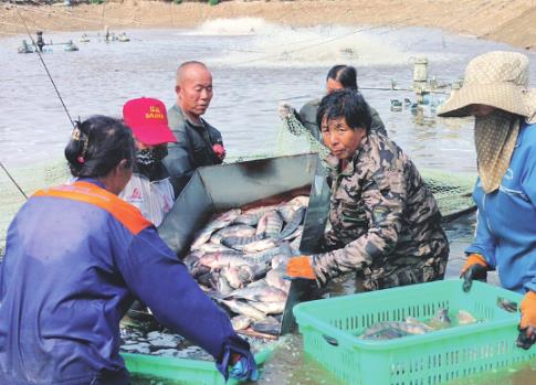 ��Ȫˮ����?z��)�ˮ����ˮ�?.....�YԴ�A�x ���O��ؔ(c��i)����